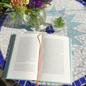 Buch im Sommer, Foto: Mandy Schoßig