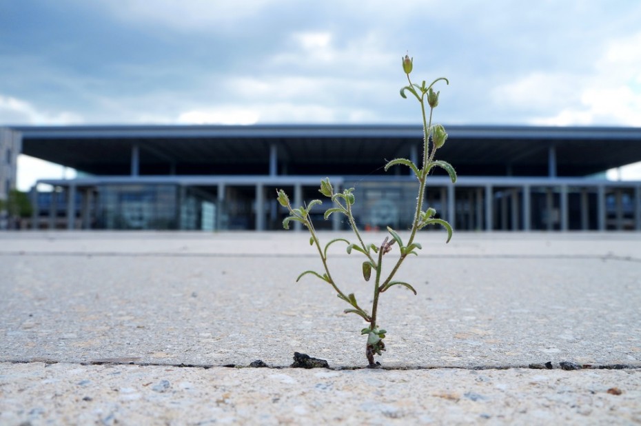 BER Berlin, © Daniel Fuhrhop